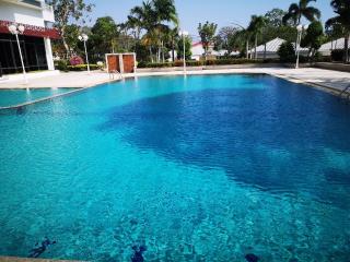 Sparkling outdoor swimming pool with surrounding greenery and a clear blue sky