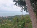 Scenic view overlooking a coastal area with lush greenery