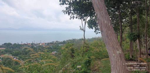 Scenic view overlooking a coastal area with lush greenery