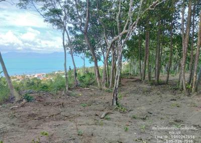 Sloped Land Plot with Ocean View and Surrounding Trees