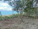 Sloped Land Plot with Ocean View and Surrounding Trees