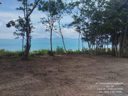 Seaside land with trees and ocean view