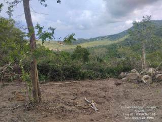 Natural landscape with cleared land surrounded by trees under a cloudy sky