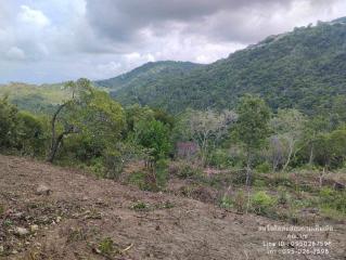 Expansive outdoor land with forest view