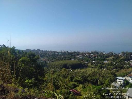 Scenic panorama of a coastal town with clear blue skies