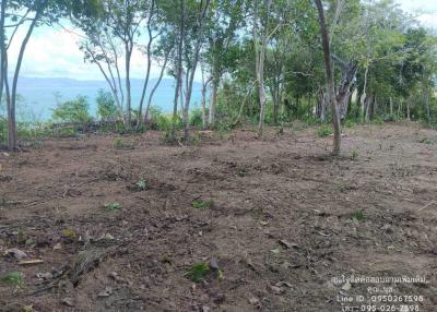 Rural Land Plot with Trees and Sea View