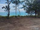 Picturesque seaside landscape with trees and a clear view of the ocean