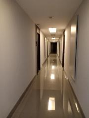 Long, narrow corridor in an apartment with polished floors and warm lighting