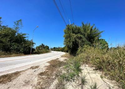Paved road with surrounding vegetation under clear blue sky