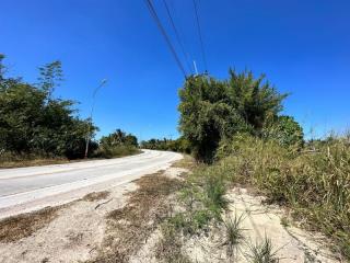 Paved road with surrounding vegetation under clear blue sky