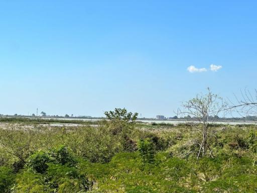 Expansive outdoor view with clear skies and natural landscape