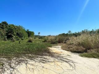 Open field with clear sky and natural vegetation