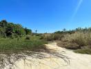 Open field with clear sky and natural vegetation