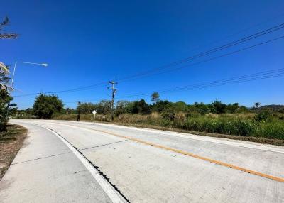 Paved road with clear blue sky and surrounding vegetation
