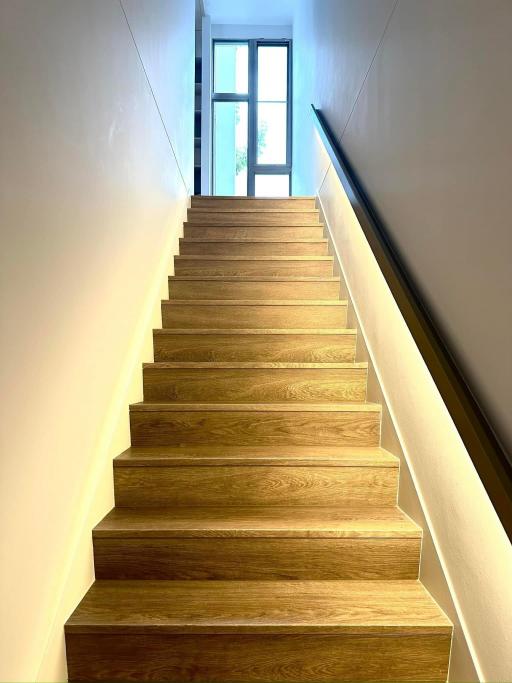 Modern wooden staircase in a well-lit interior space