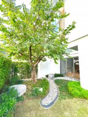 Lush green garden with decorative pebble path in a residential property