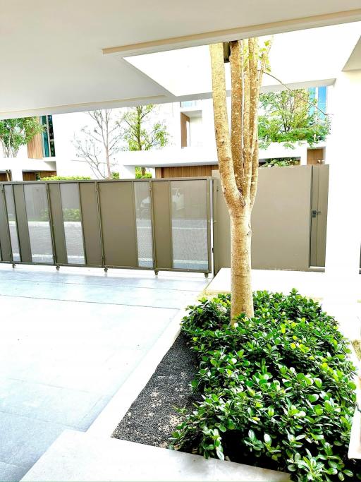 Modern building exterior with landscaped entryway and tree