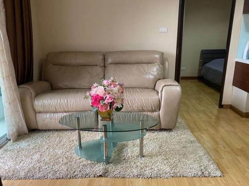 Cozy living room interior with comfortable sofa and elegant glass coffee table