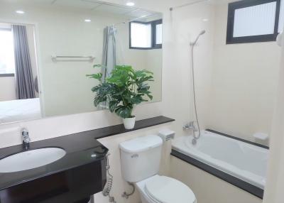 Modern bathroom with bathtub and houseplant on the counter