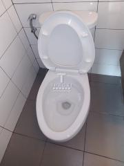 Modern clean bathroom with a white ceramic toilet