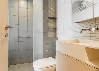 Modern bathroom with walk-in shower, toilet, and vanity sink