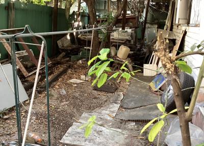 Messy backyard with overgrown foliage and scattered items