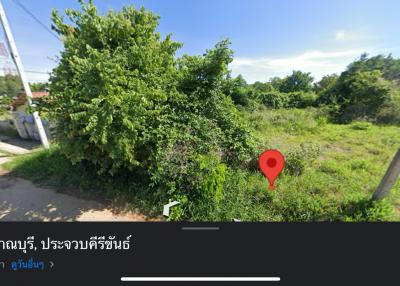 Vacant land with overgrown vegetation and nearby street