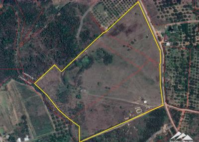55 Rai of Land For Sale 1km. From Ping River