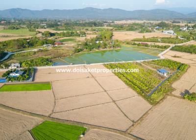 Nice 3+ Rai Plot of Land with Great Views for Sale in Luang Nua, Doi Saket