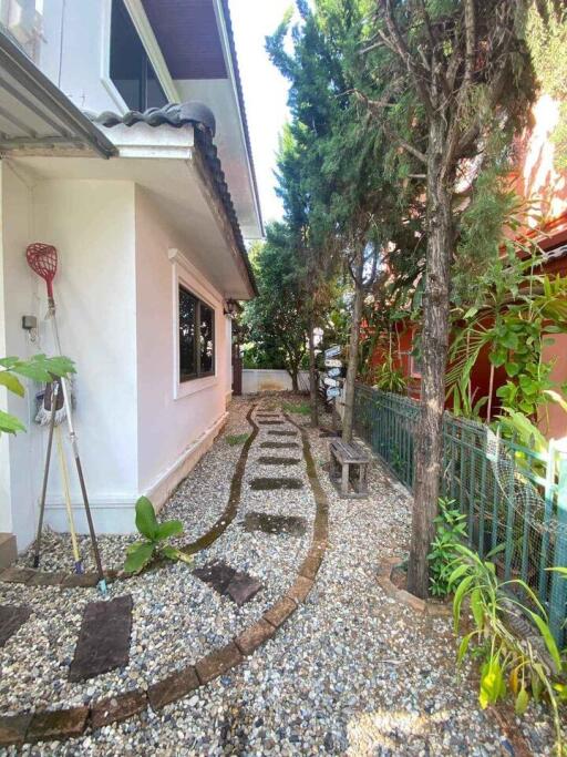 House for Rent in Nong Chom, San Sai.