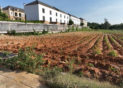 Rural property with cultivated land and adjacent residential buildings