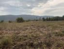 Empty plot of land with a view of distant mountains and scattered trees