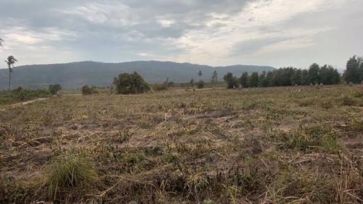Empty plot of land with a view of distant mountains and scattered trees