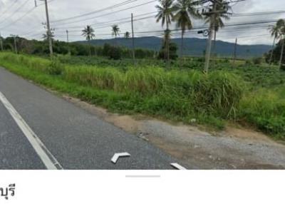 Roadside view of a potentially undeveloped land for sale with clear skies and palm trees in the background