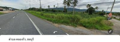 Roadside view of a potentially undeveloped land for sale with clear skies and palm trees in the background