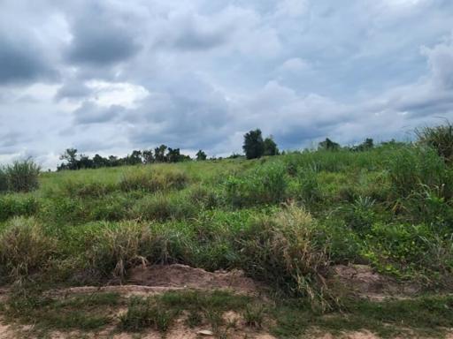 Spacious open land with natural vegetation under a cloudy sky