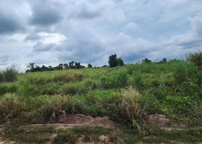 Spacious open land with natural vegetation under a cloudy sky