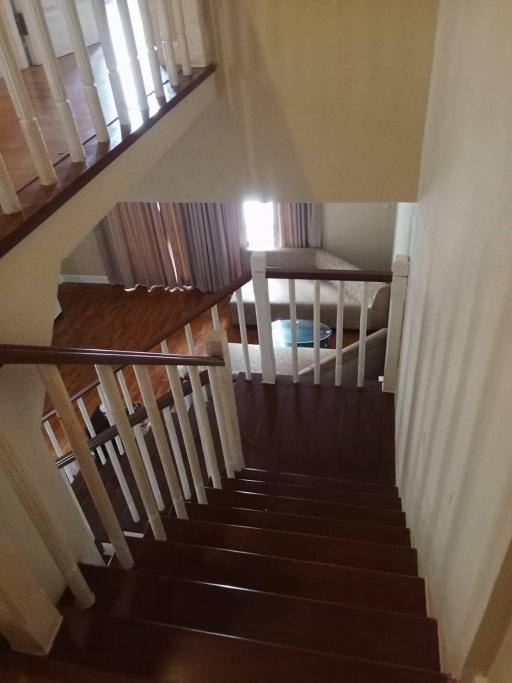 Modern wooden staircase inside a residential home