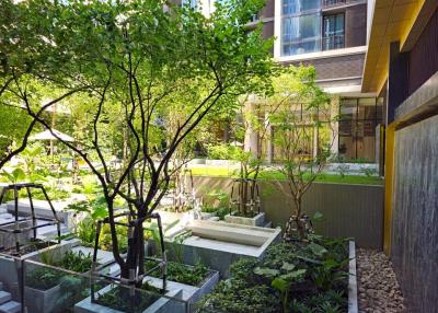 Lush communal garden in modern residential property