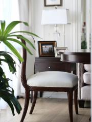 Elegant living room interior with wooden furniture and green plant