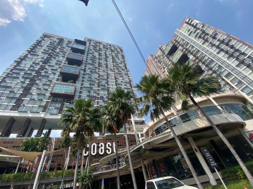 Modern high-rise residential buildings with palm trees under a clear blue sky