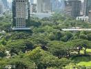 Aerial view of a cityscape with lush greenery from a high-rise building