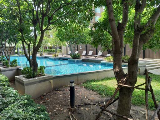 Lush garden with pool in a residential building courtyard