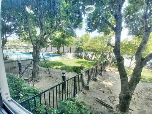 View of pool and garden area from window