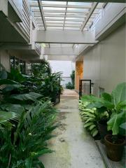 Indoor garden with skylight in a modern building