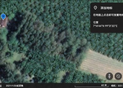 Aerial view of a secluded property surrounded by forest