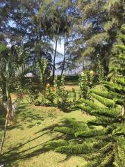 Lush green garden with tropical trees and well-maintained lawn