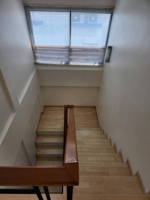 Modern wooden staircase with natural light coming through the window