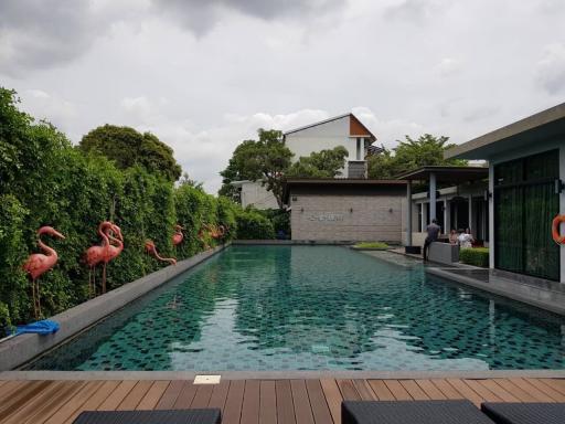 Modern residential outdoor pool surrounded by lush greenery and decorative flamingos