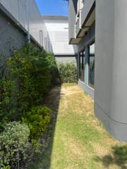 Narrow home side yard with lawn and shrubbery